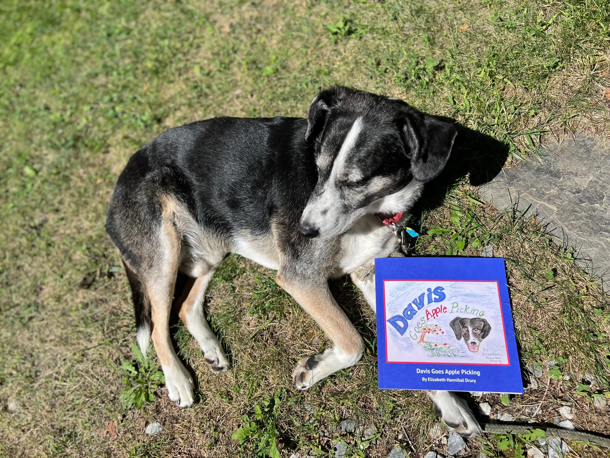 Davis lying in the grass next to a copy of Davis Goes Apple Picking